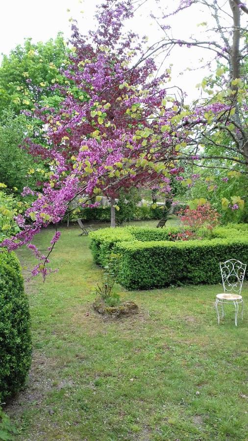 Manoir De La Chapelle Bed & Breakfast Conde-sur-Sarthe Exterior photo